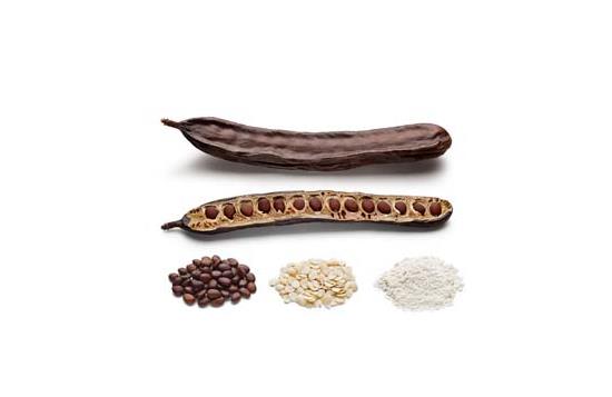 Carob gum
