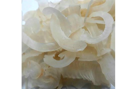 Tragacanth 