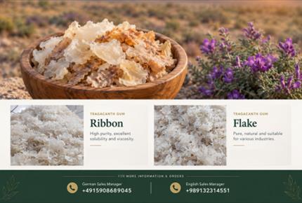 Raw Tragacanth Supplier | Quality & Buyer Evaluation Guide(+989130358741)