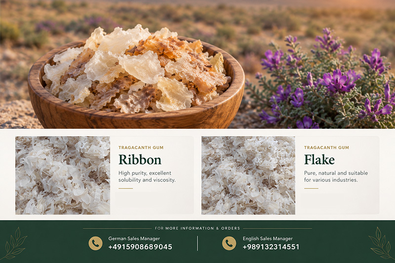 E413 Gum: Tragacanth Gum for German Importers(+989130358741)