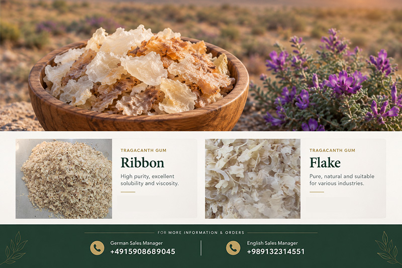 Exporting Tragacanth Gum to Germany | Pars Ketira(+989130358741)