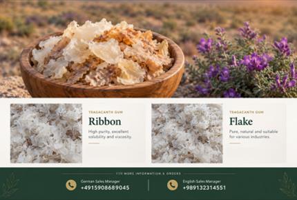 E413 Gum: Tragacanth Gum for German Importers(+989130358741)