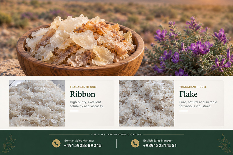Raw Tragacanth Supplier | Quality & Buyer Evaluation Guide(+989130358741)