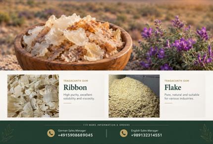 Organic Tragacanth: Applications, Uses & Grade Selection(+989130358741)