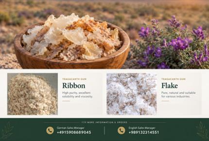 Astragalus Gum Technical Specifications and Quality Assessment(+989130358741)