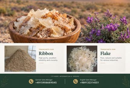 Gum Tragacanth E413 Import Requirements for Germany(+989130358741)